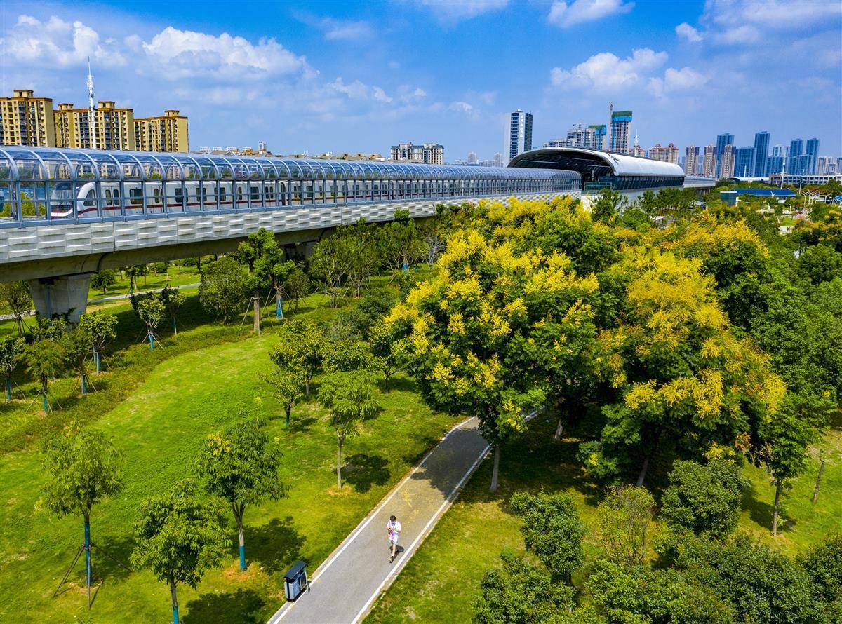 百老汇线上游戏